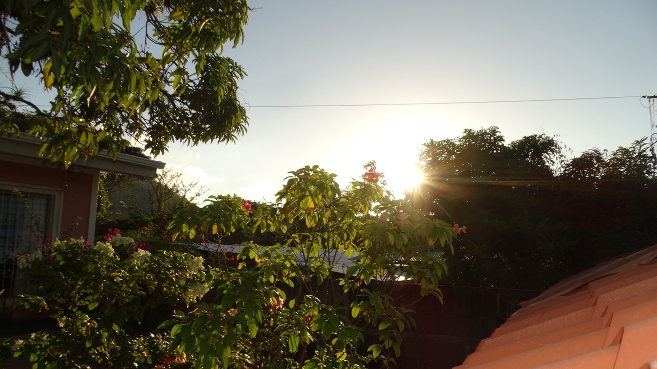 Photo of Outdoor in San Ramon