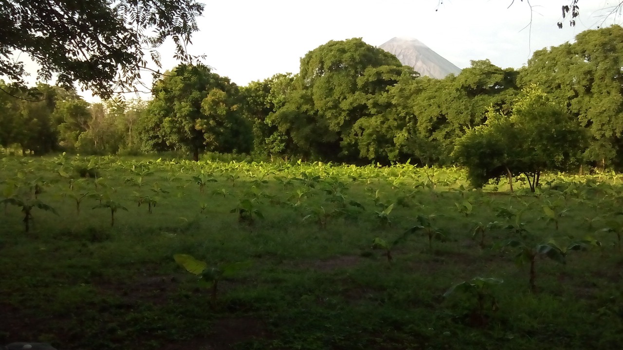 Photo of Outdoor in Ometepe Island