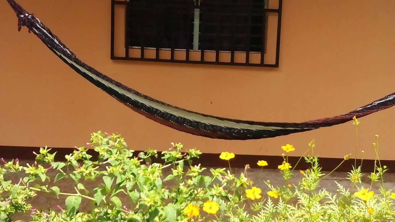 Photo of Outdoor in Ometepe Island