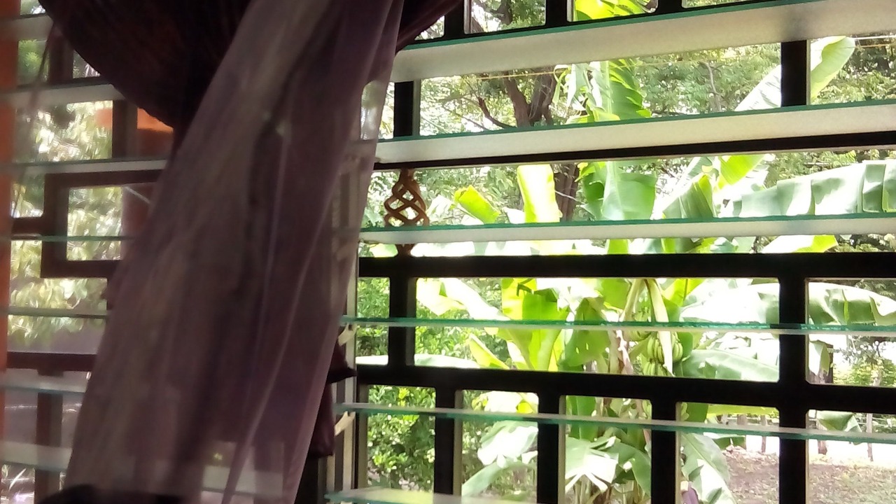 Photo of Others in Ometepe Island
