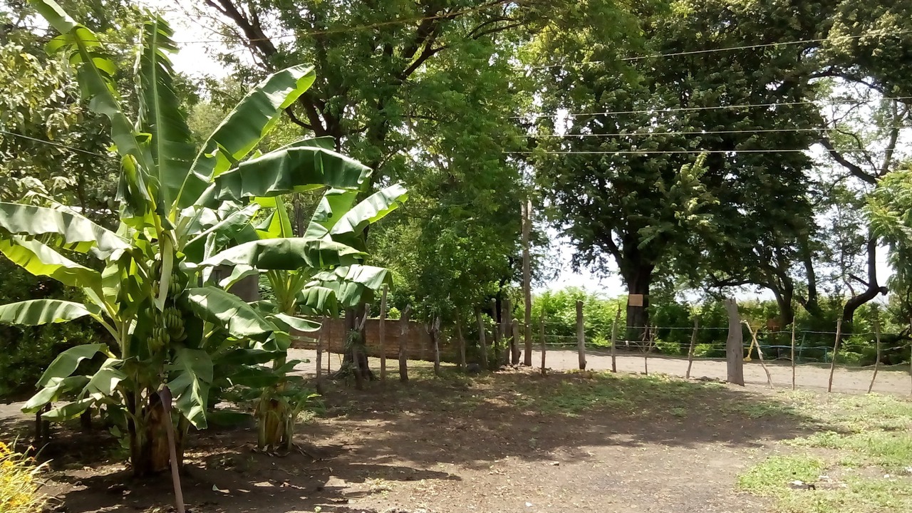 Photo of Outdoor in Ometepe Island