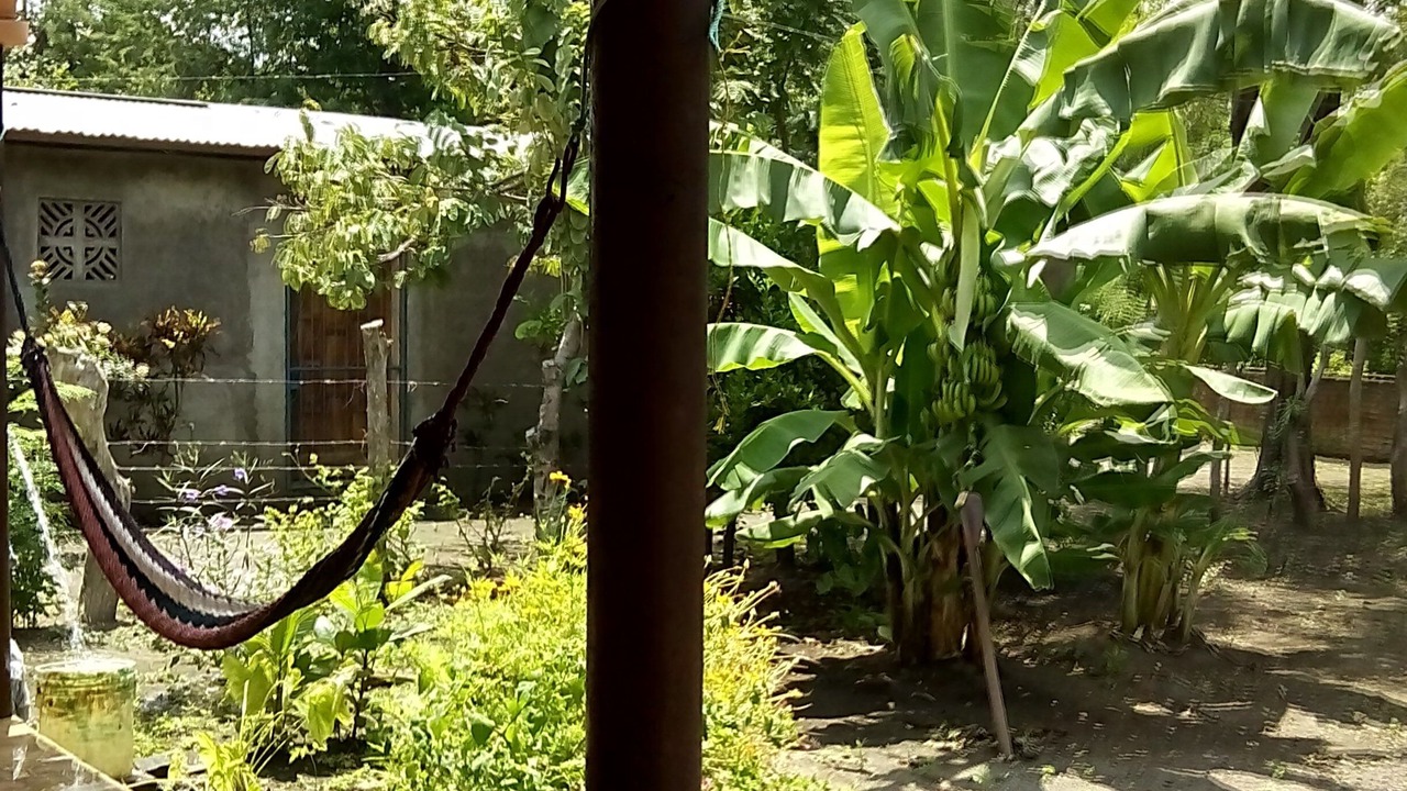 Photo of Outdoor in Ometepe Island