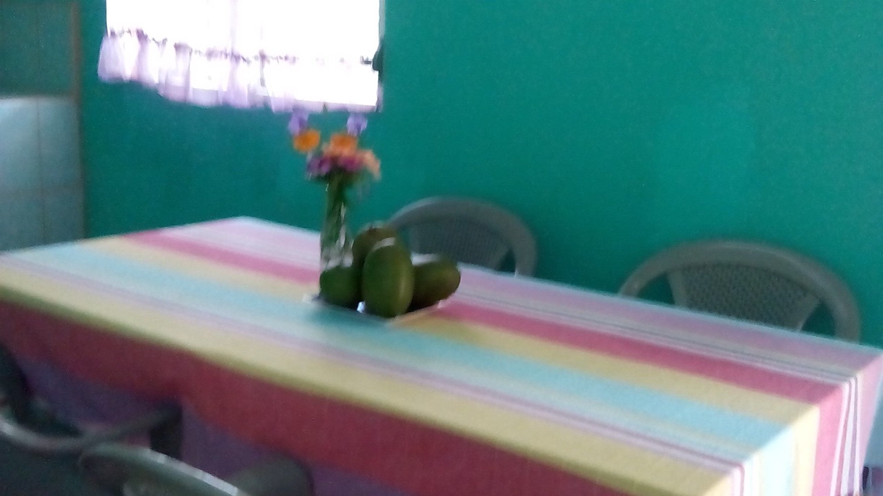 Photo of Others in Ometepe Island
