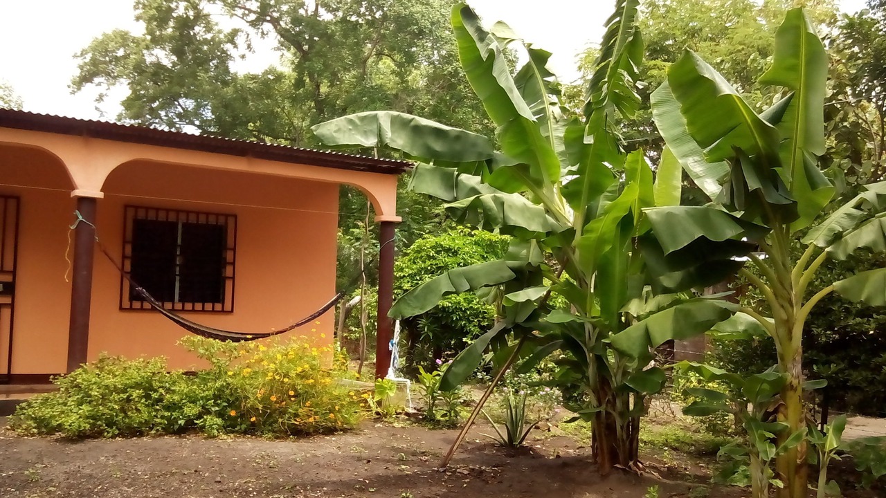 Photo of Outdoor in Ometepe Island