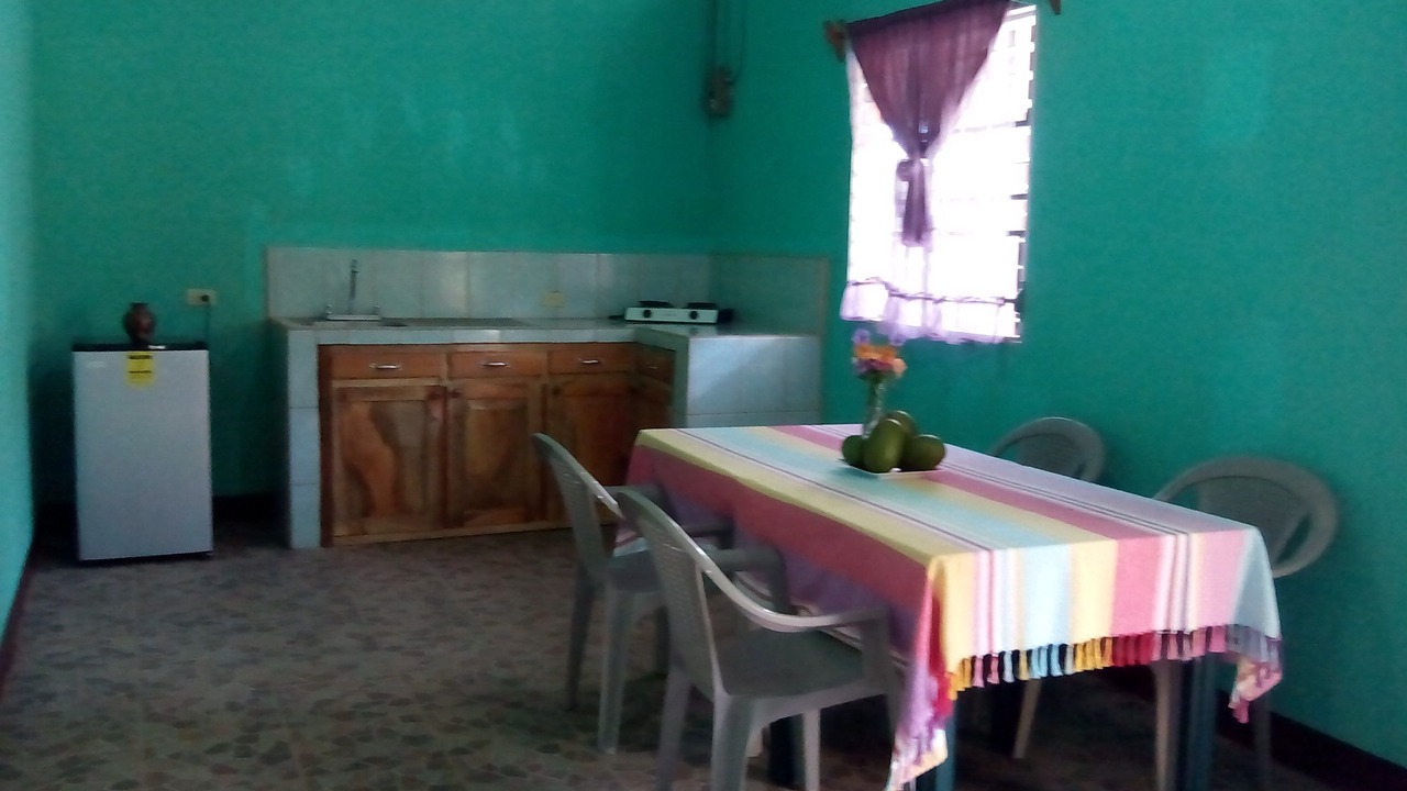Photo of Others in Ometepe Island