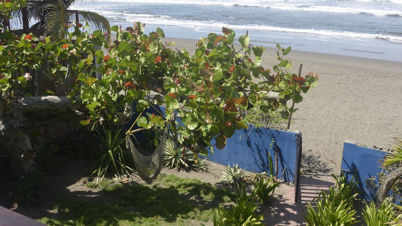 Photo of Others in Las Penitas