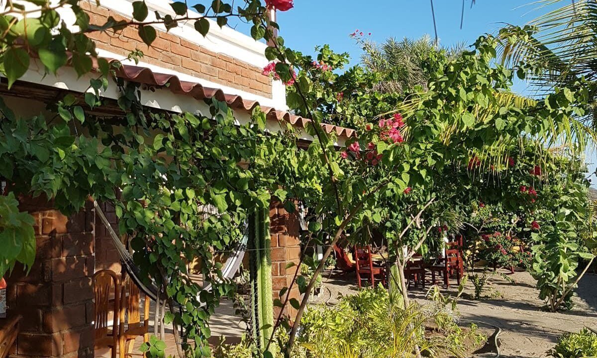 Photo of Outdoor in Popoyo