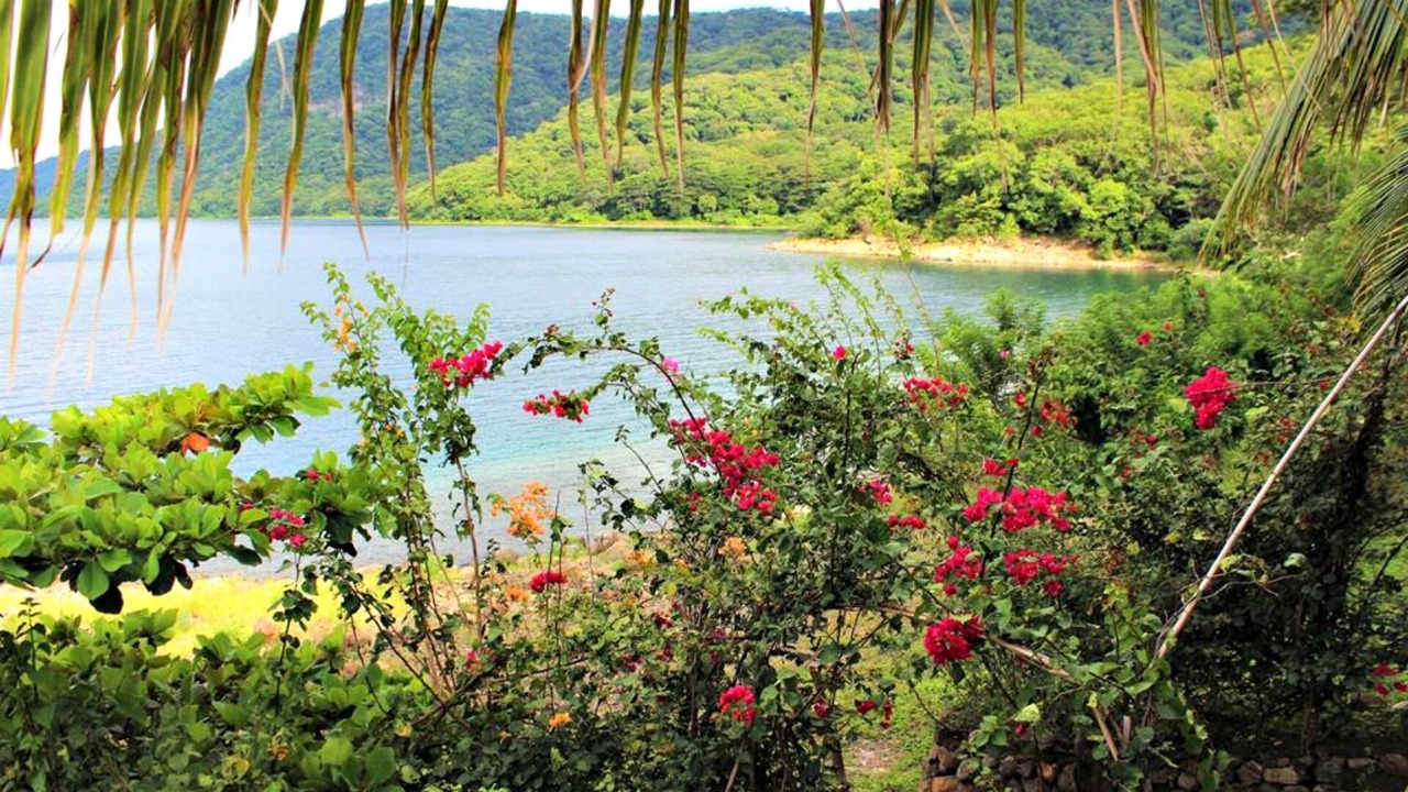 Photo of Outdoor in La Laguna
