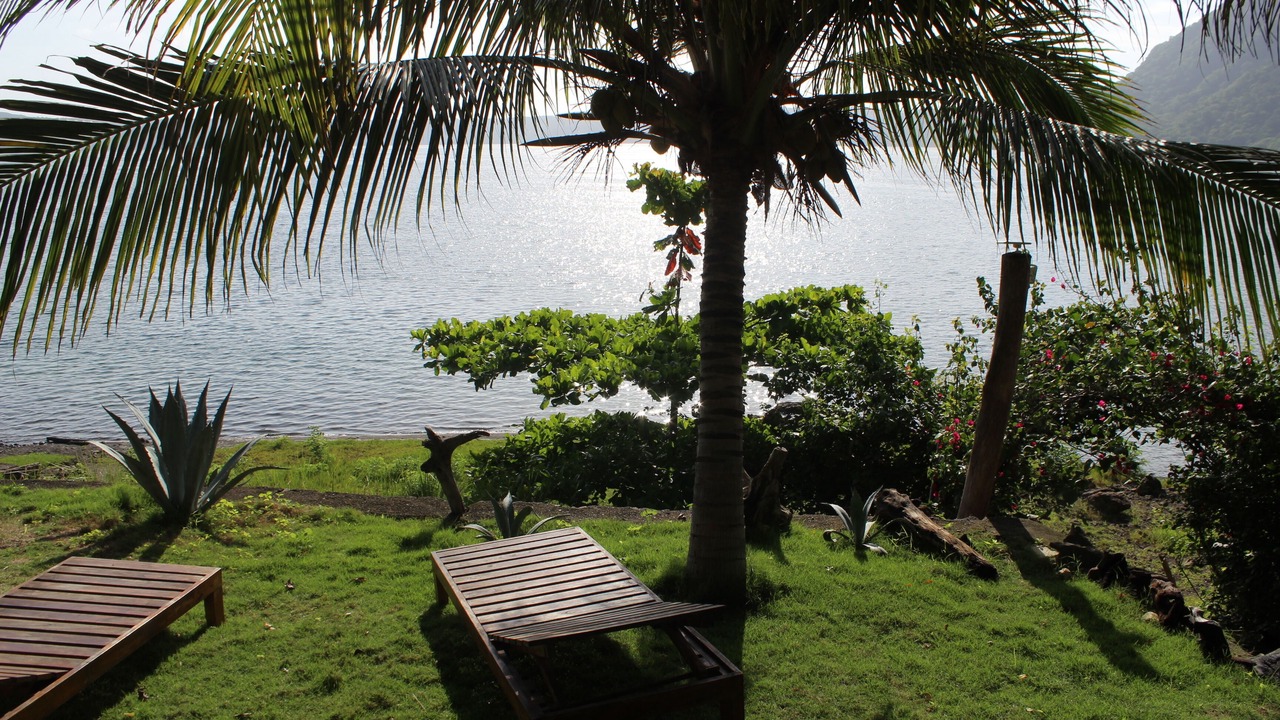 Photo of Outdoor in La Laguna