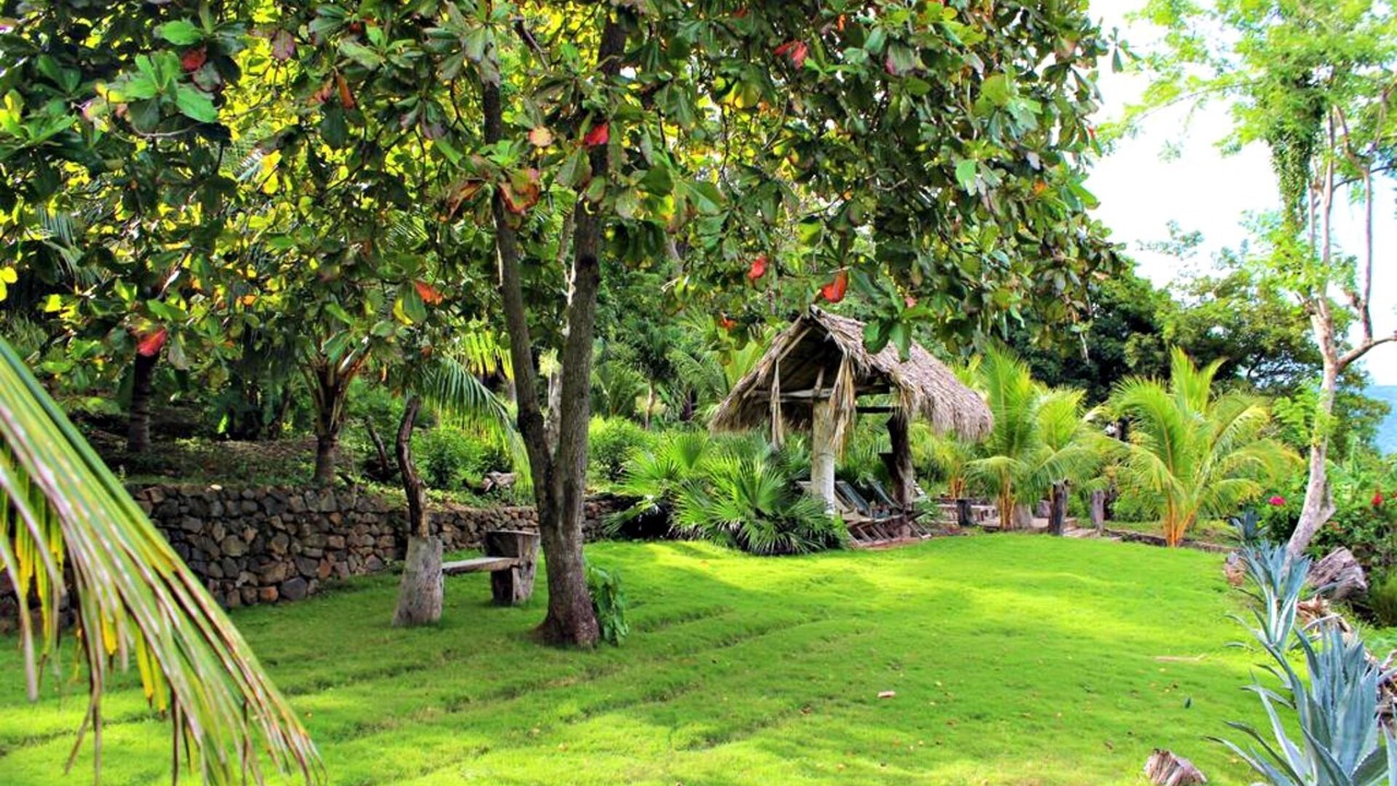 Photo of Outdoor in La Laguna