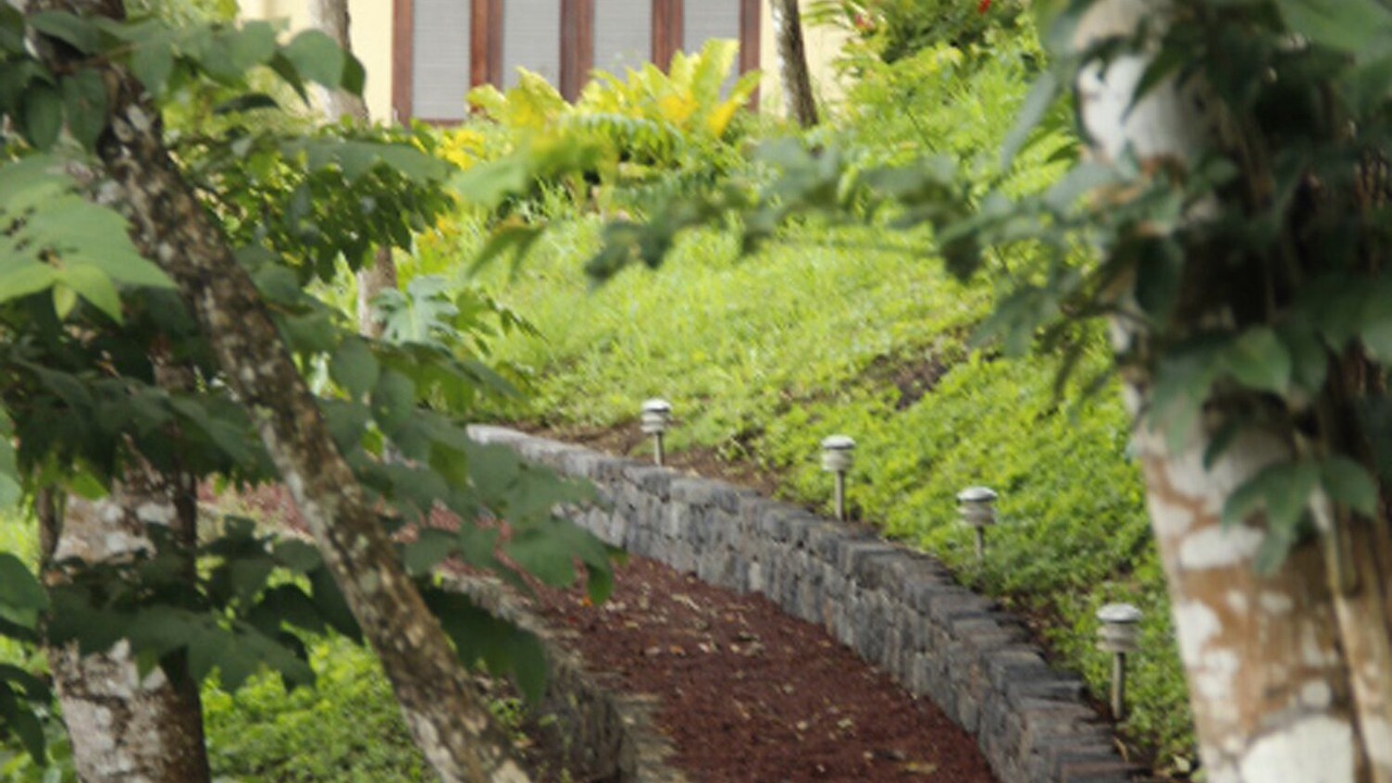 Photo of Outdoor in Mombacho Volcano Nature Reserve