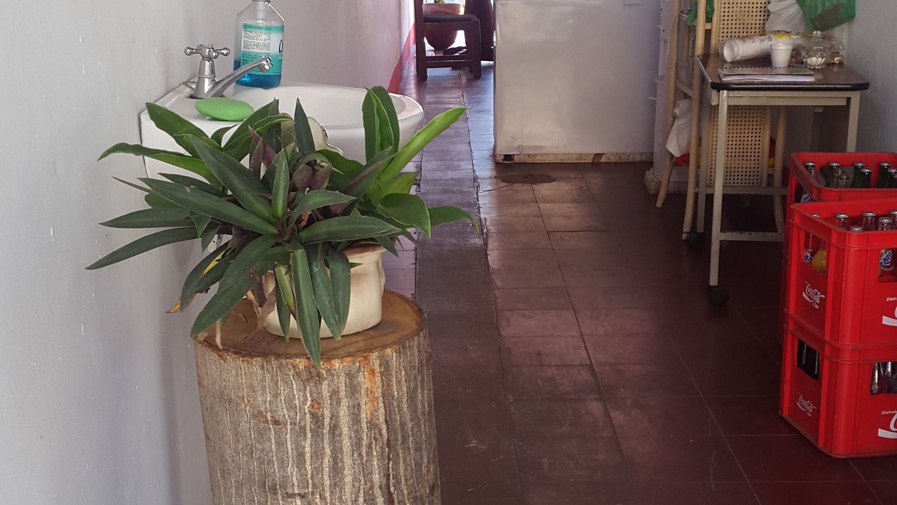 Photo of Outdoor in Leon