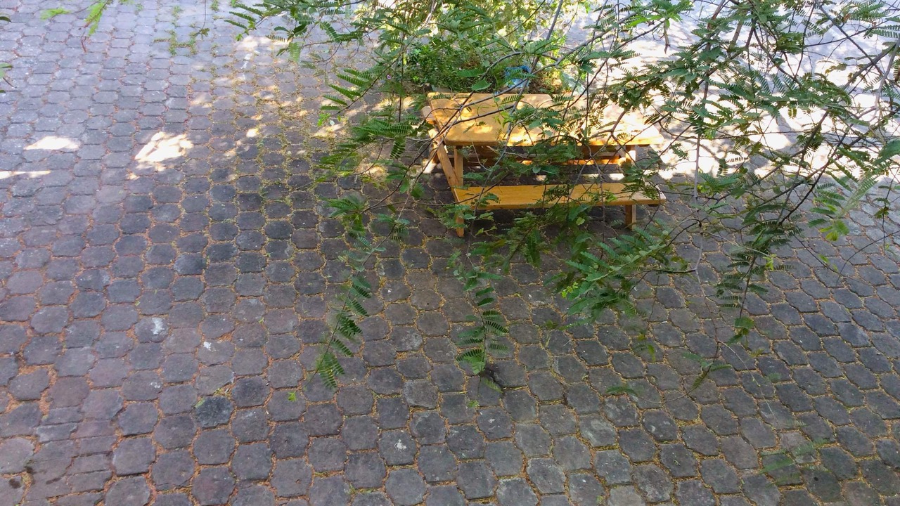 Photo of Outdoor in El Transito