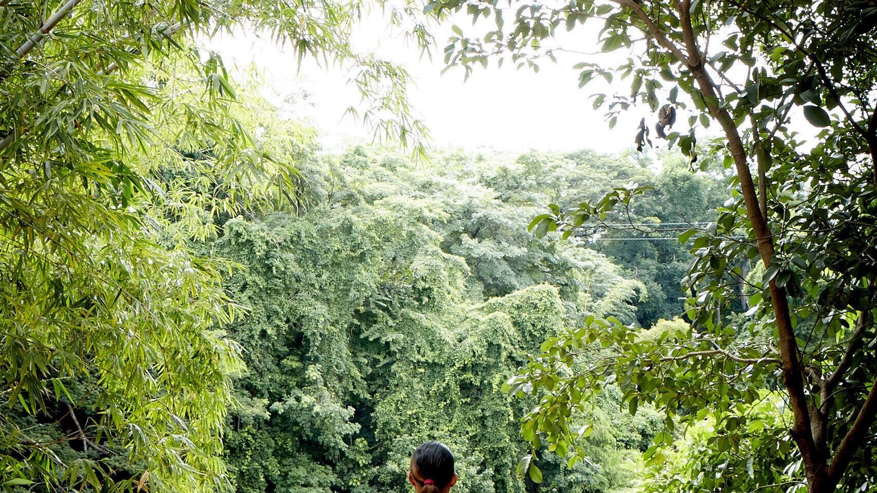 Photo of Outdoor in Granada
