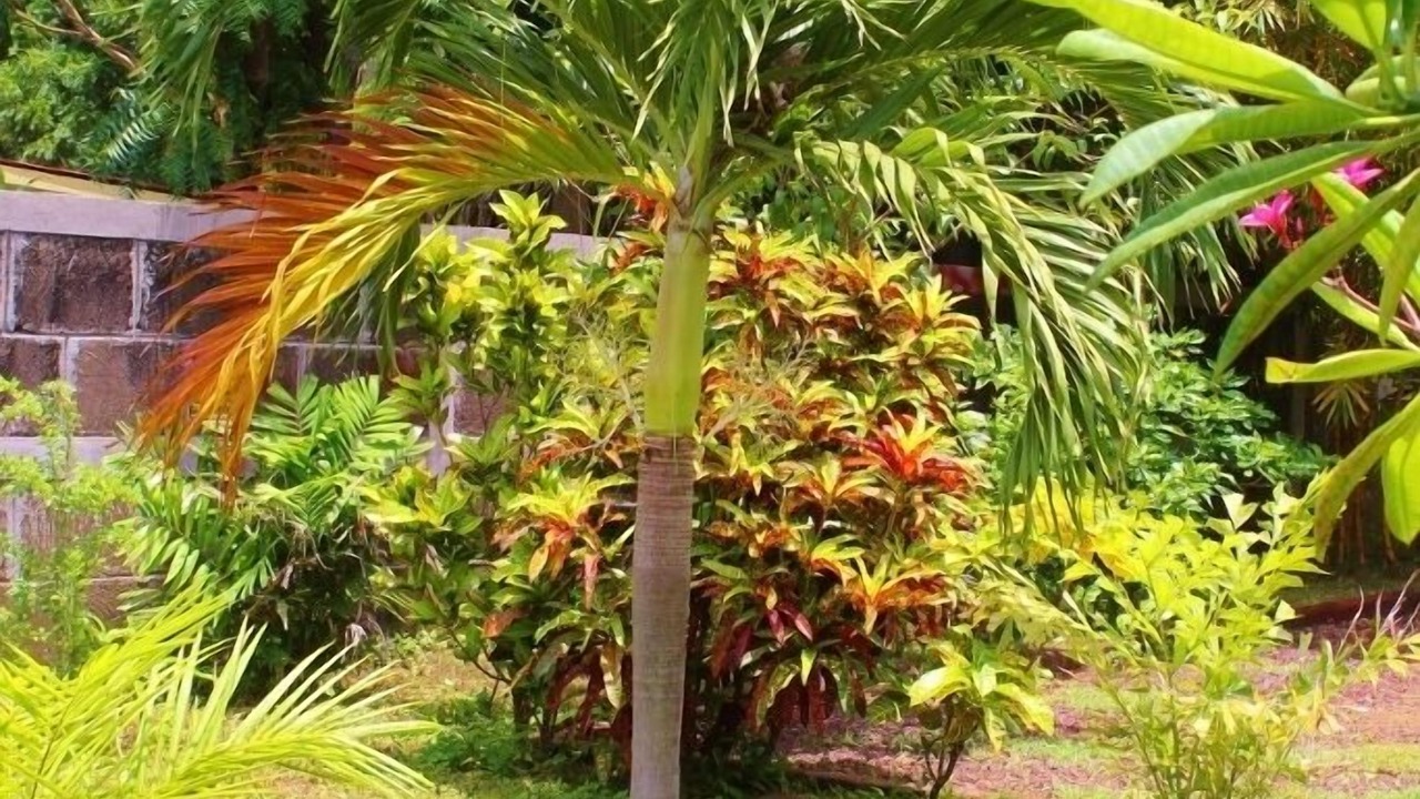 Photo of Others in Pochomil