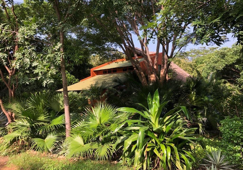 Photo of Outdoor in San Diego