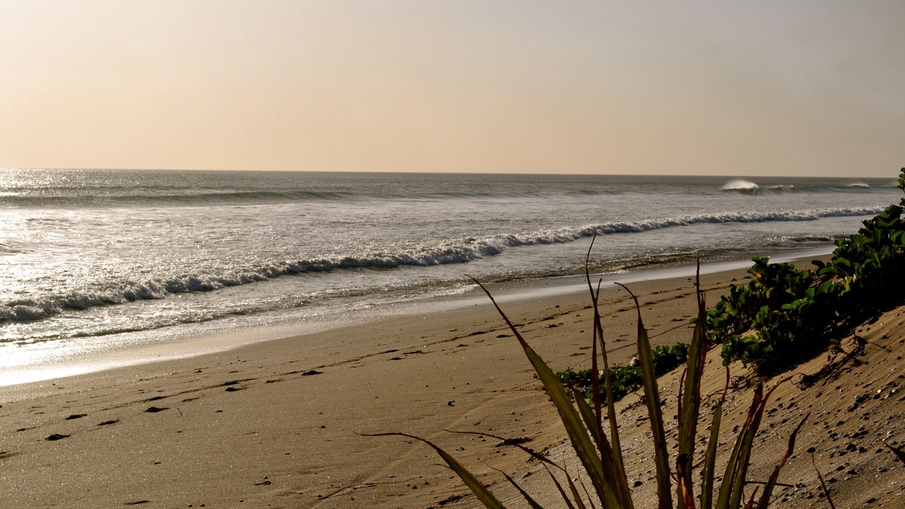 Photo of Others in San Diego
