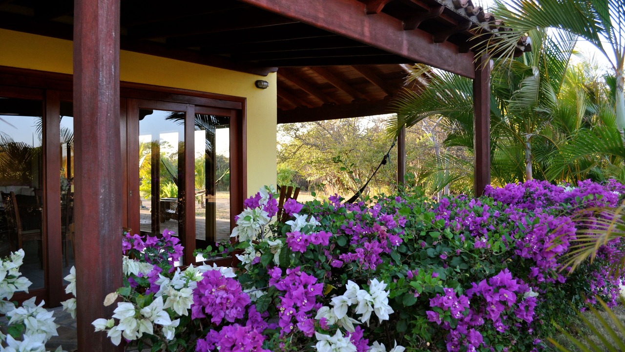Photo of Outdoor in San Diego