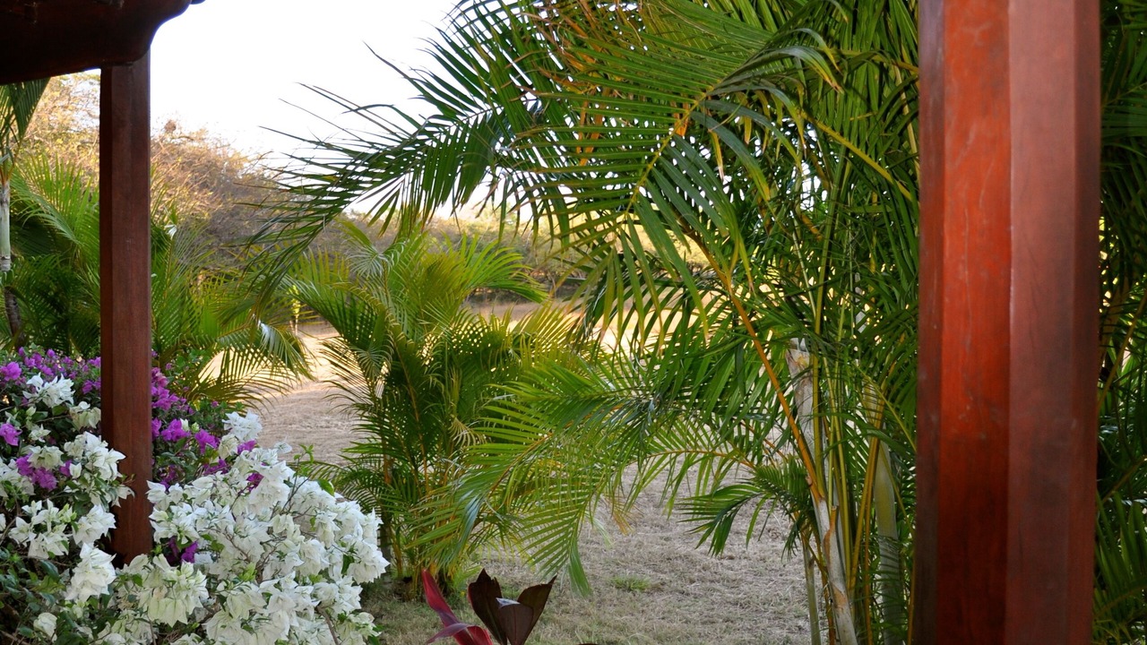 Photo of Outdoor in San Diego