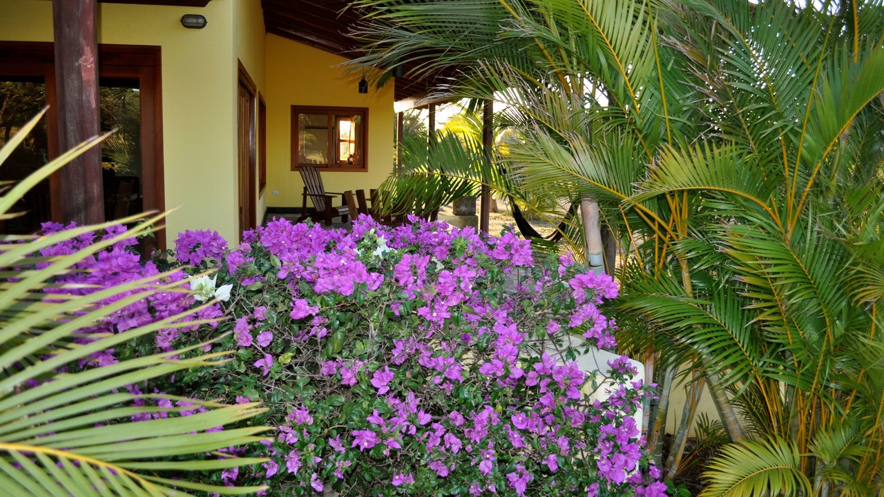 Photo of Outdoor in San Diego