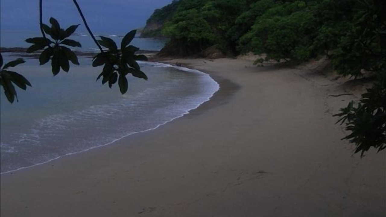 Photo of Others in Rivas