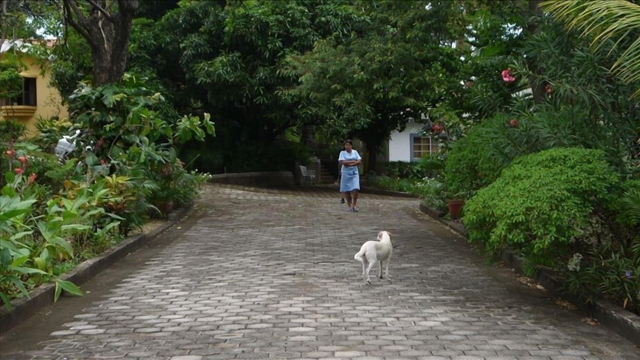 Photo of Outdoor in Managua