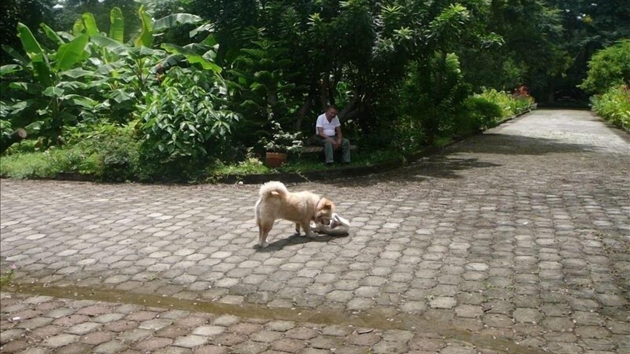Photo of Others in Managua