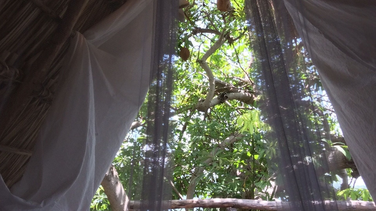 Photo of Outdoor in Granada