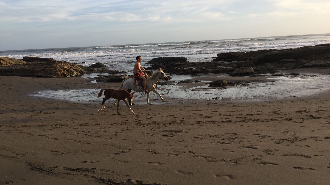 Photo of Others in La Boquita