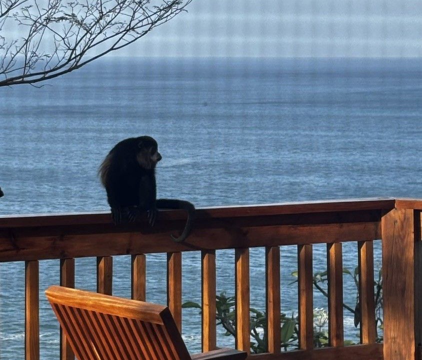 Photo of Others in Playa La Redonda