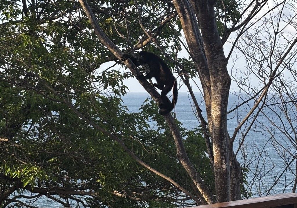 Photo of Outdoor in Playa La Redonda