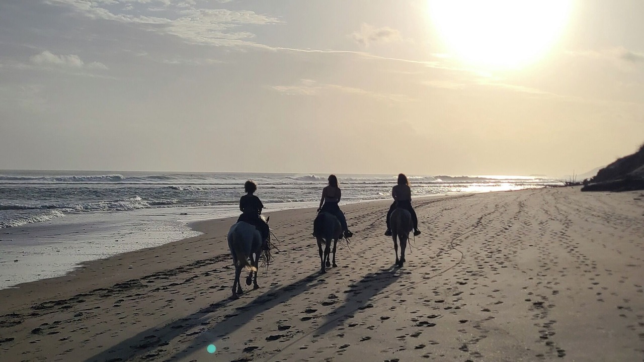 Photo of Others in Popoyo