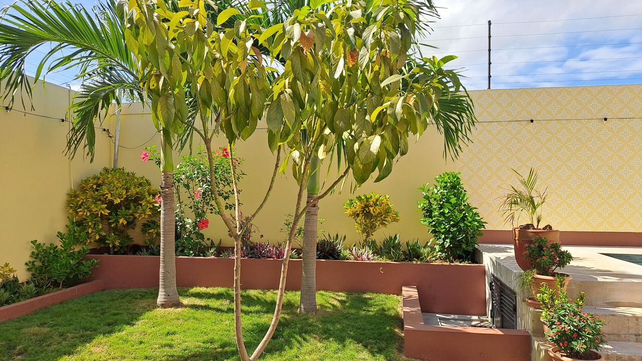Photo of Outdoor in Granada