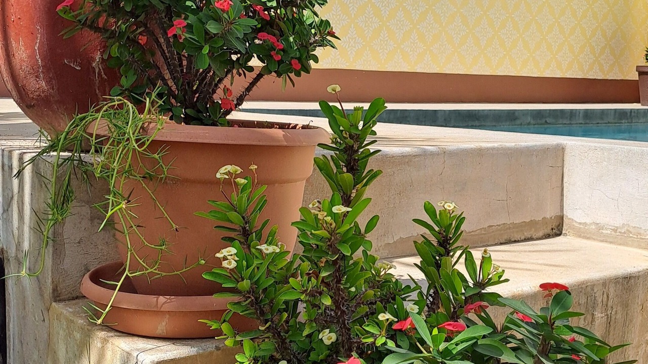 Photo of Outdoor in Granada