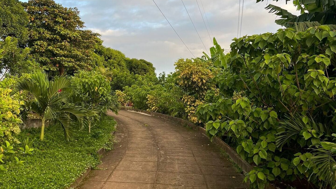 Photo of Others in Masaya