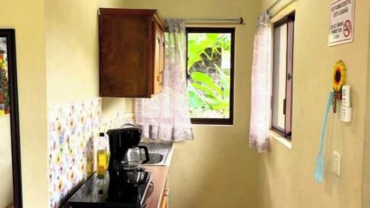 Photo of Kitchen in Ometepe Island