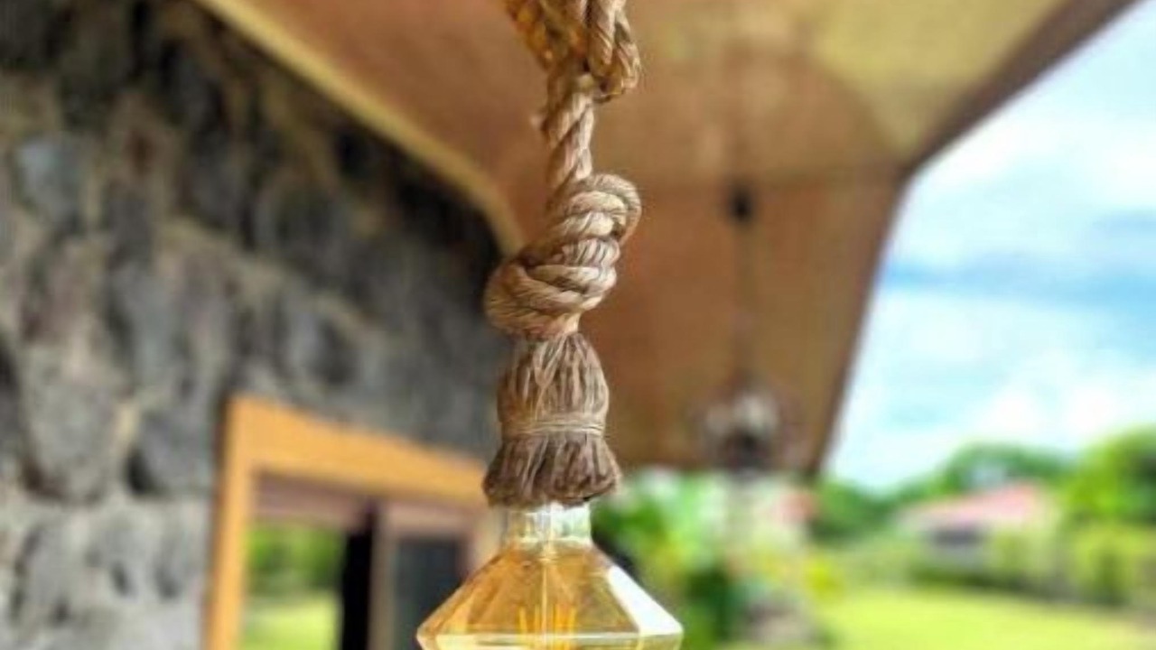 Photo of Outdoor in Ometepe Island