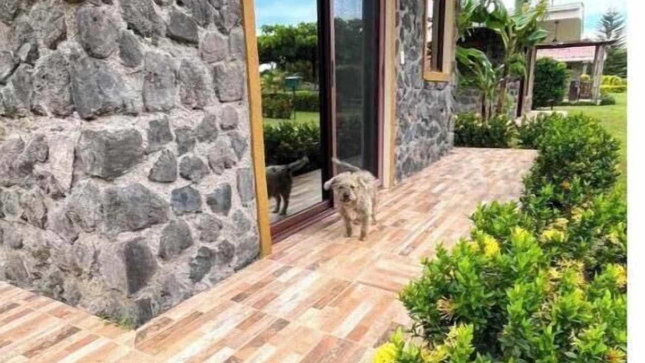 Photo of Outdoor in Ometepe Island