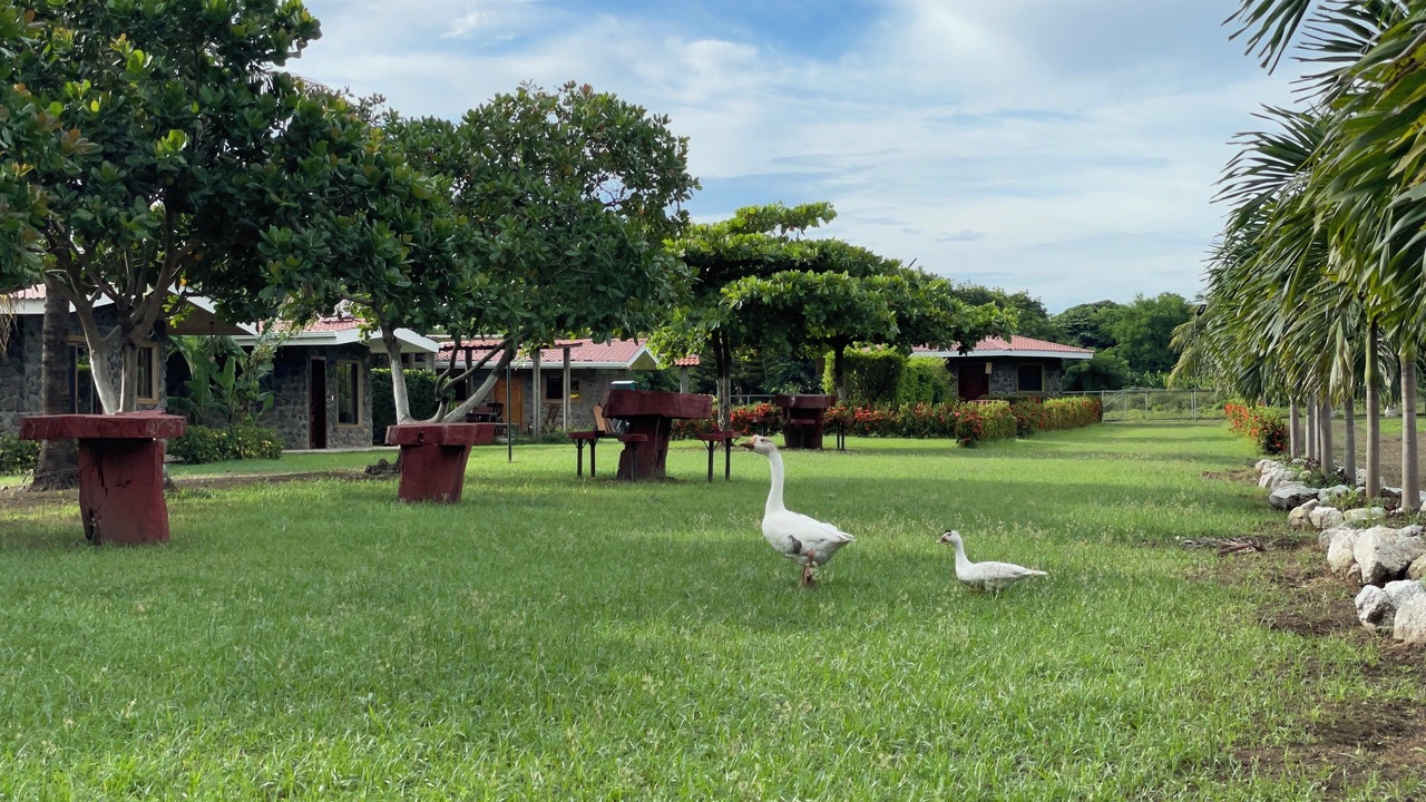 Photo of Outdoor in Ometepe Island