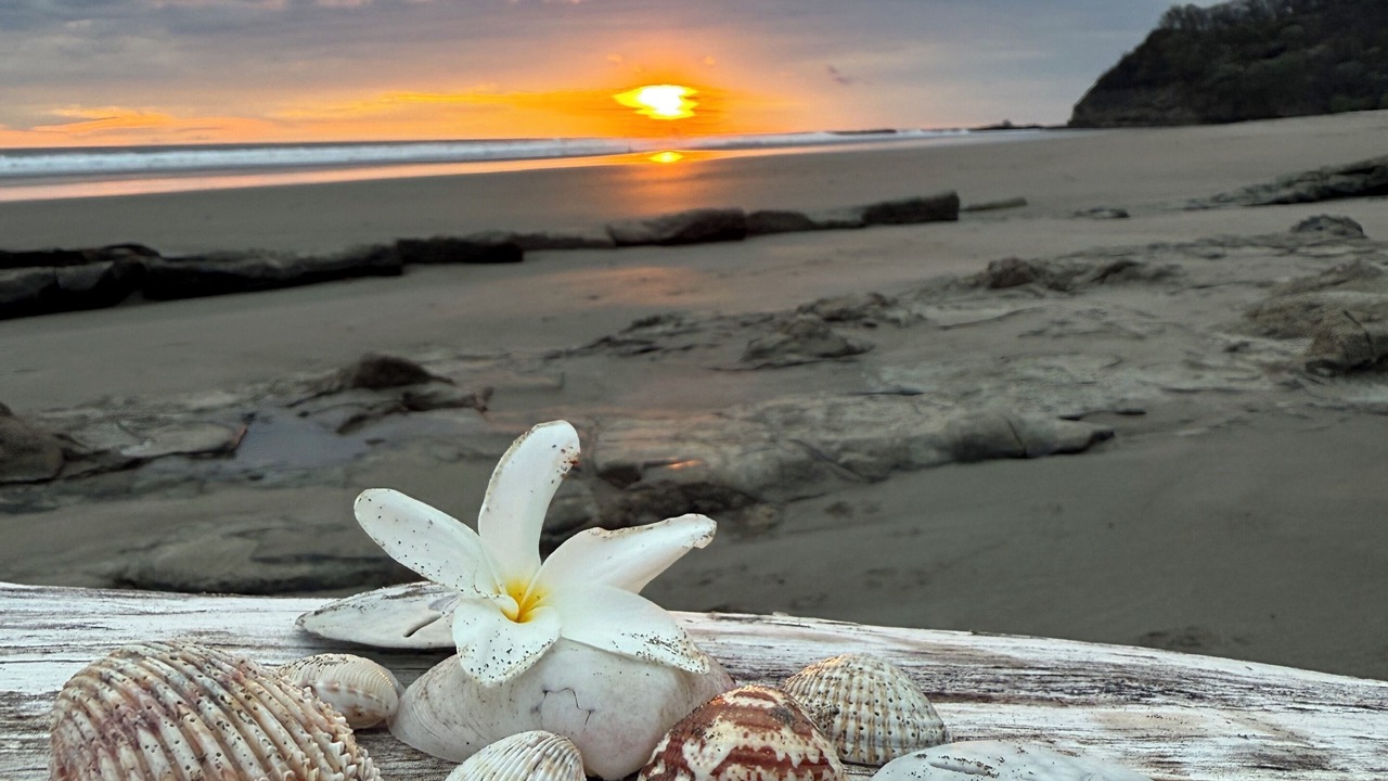 Photo of Others in San Juan del Sur