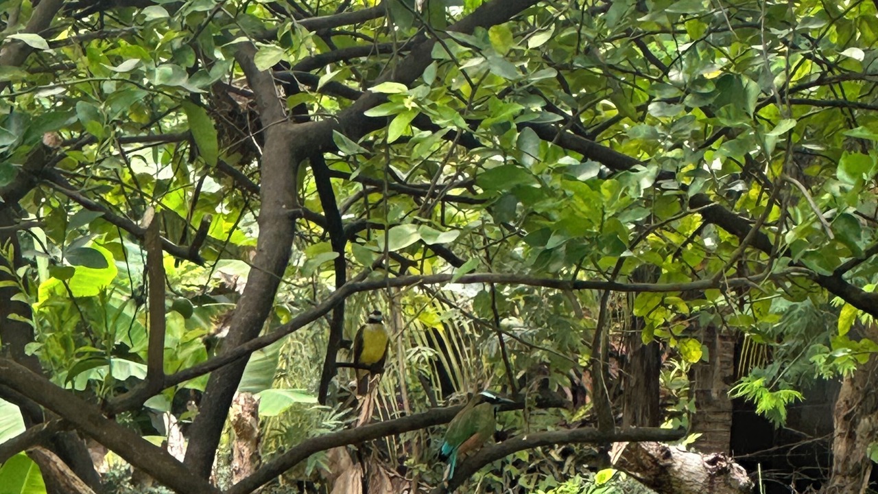 Photo of Others in Managua