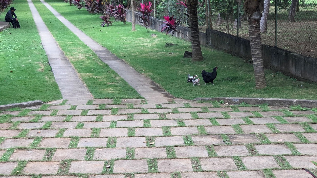Photo of Outdoor in Managua