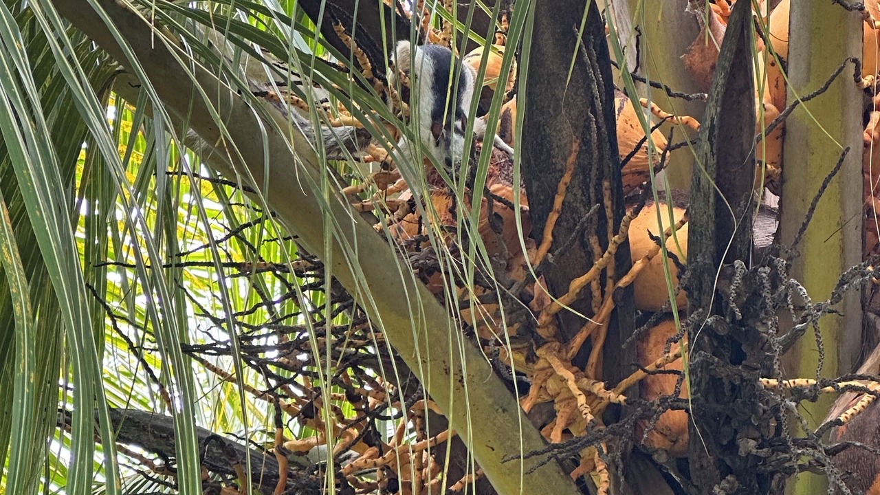 Photo of Outdoor in Managua