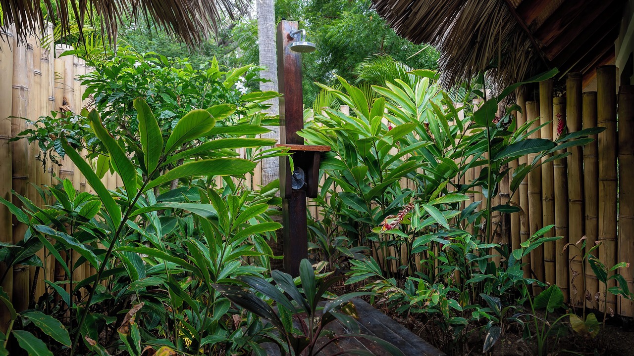 Photo of Outdoor in Guacalito de La Isla
