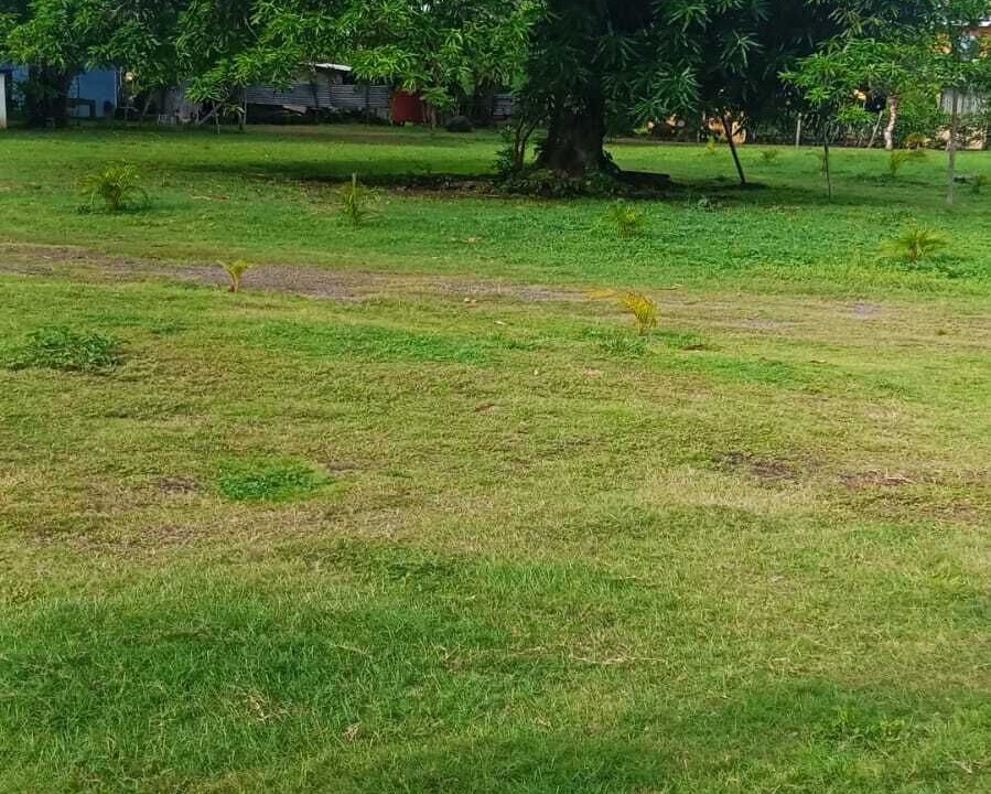 Photo of Outdoor in Corn Island