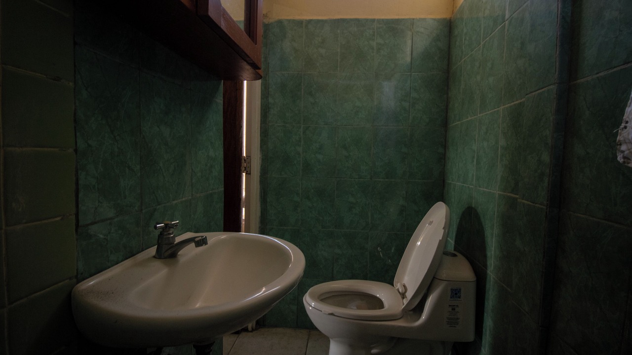 Photo of Bathroom in Managua