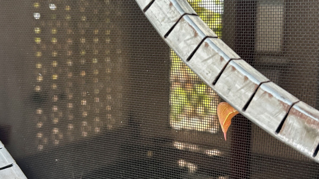 Photo of Outdoor in Santa Cruz