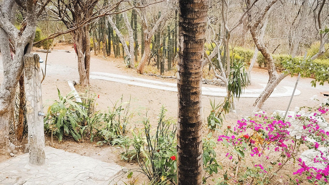 Photo of Outdoor in Playa El Coco