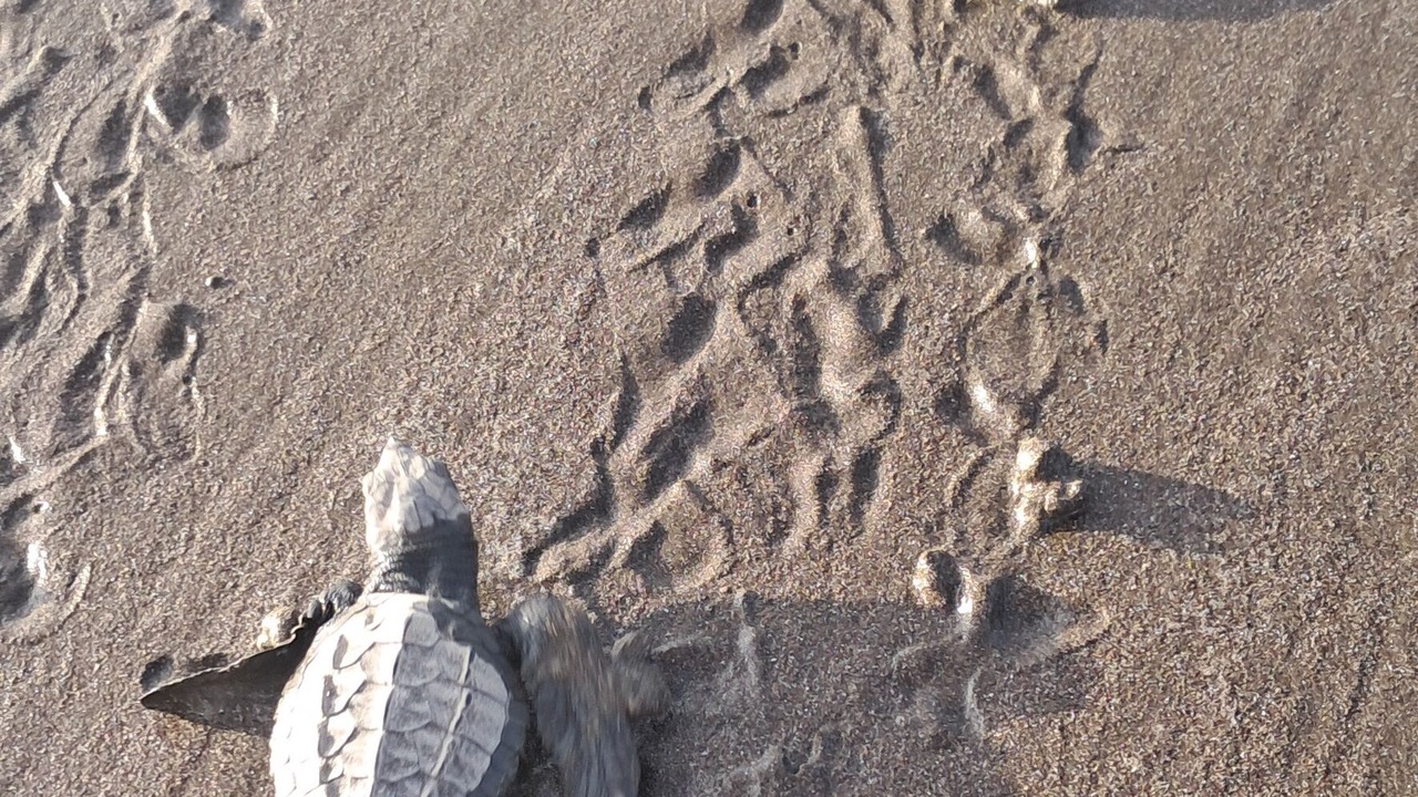 Photo of Others in Western Nicaragua