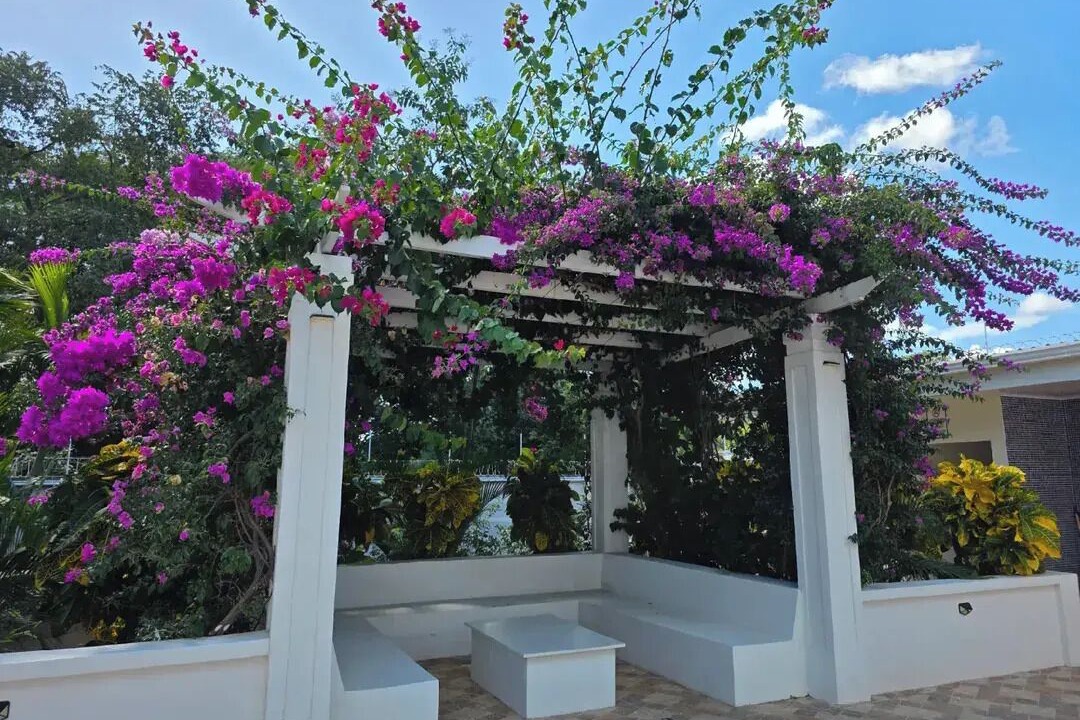 Photo of Outdoor in Playa Gigante